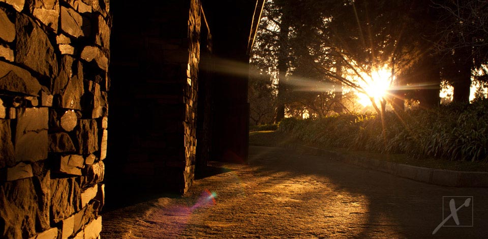 2-summerhill-stud-stables-sunrise-photography.jpg