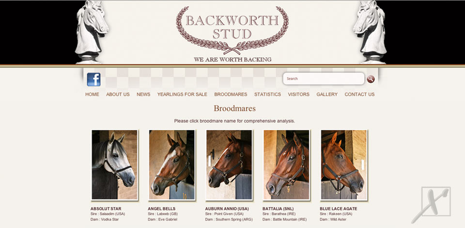 7-backworth-stud-website.jpg